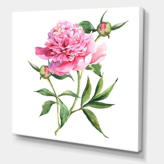 Designart - Vintage Pink Peonies